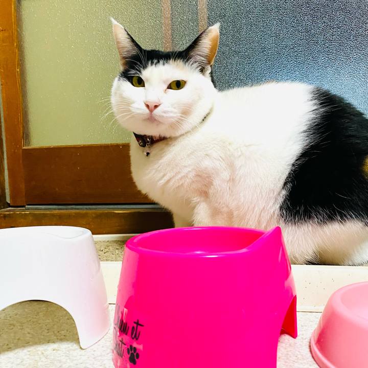 Ad8f37af 6664 43df 820b 51abe919b636 1673515727230