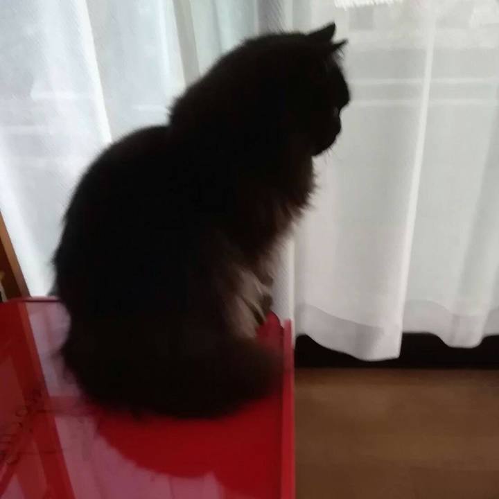 Ad8f546a 1bf3 4c26 ae08 9c8ce25e8289 1509159339422