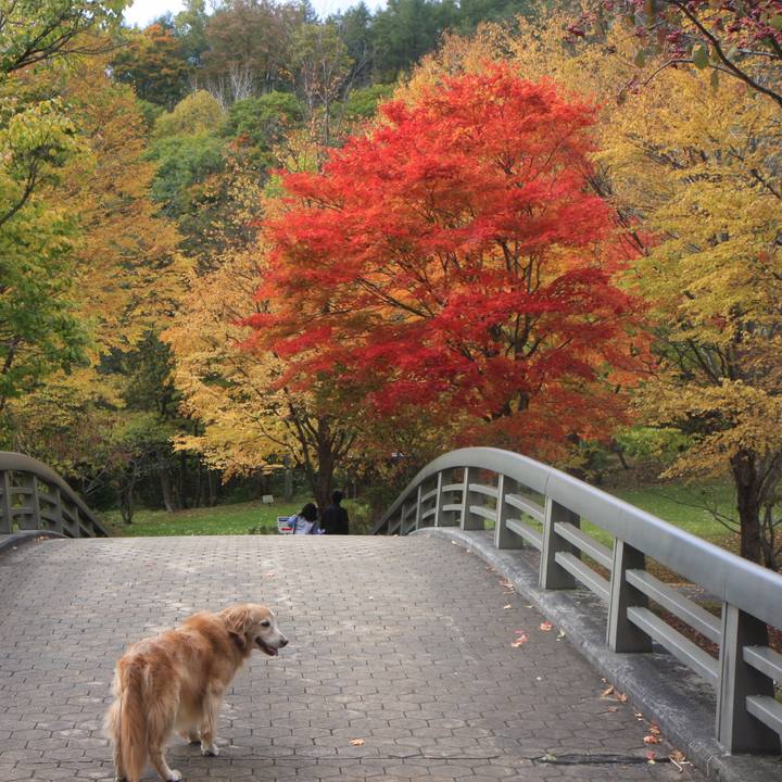 Ad8f5d13 ee24 4671 86bf 6c1ed680856b 1761386756674