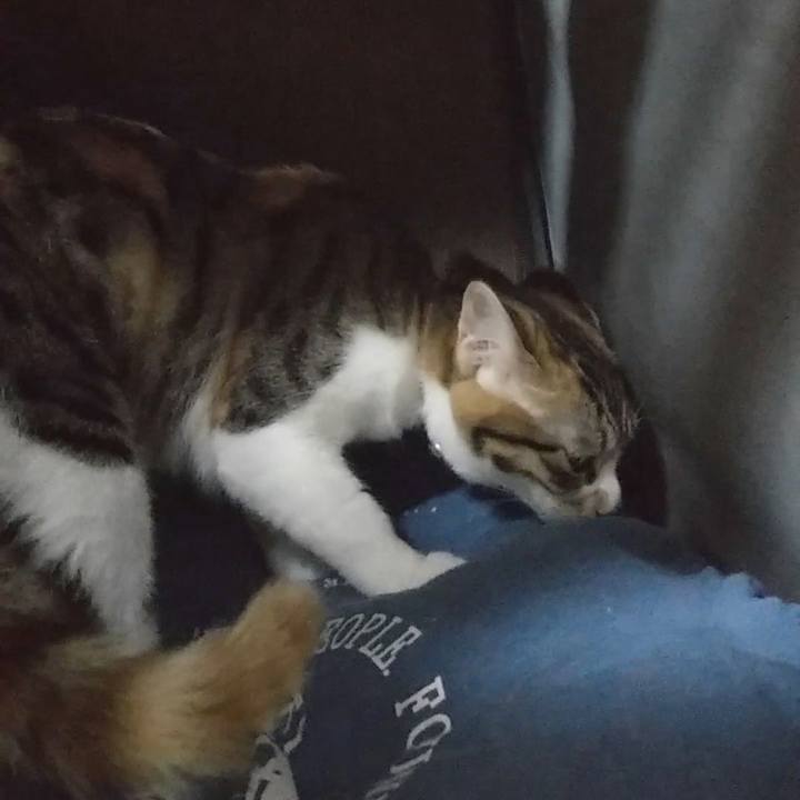 Ad8f7194 e9af 445f 9cb8 c3fc08f135ec 1636448250023