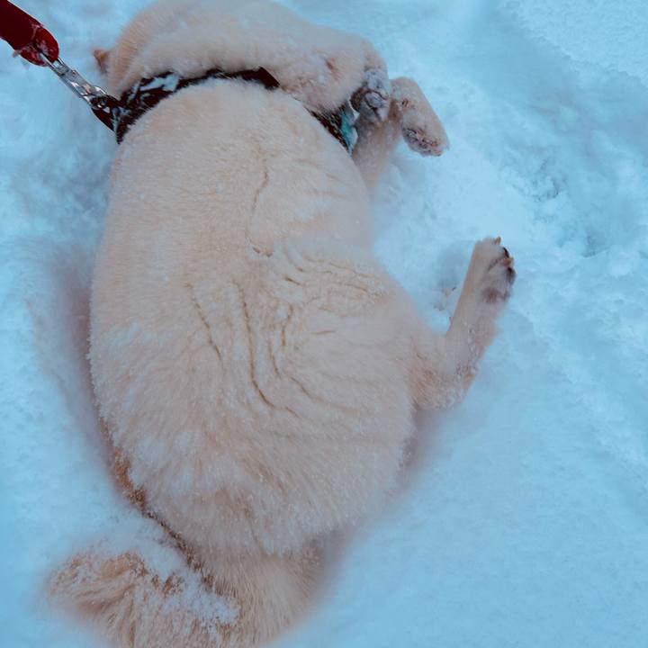 Ad8f9f64 2ecc 467f a74d 933cb7bbae58 1733611218530