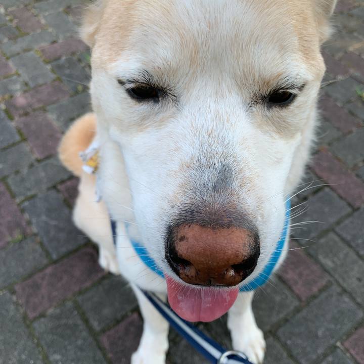 Ad8fafc2 6b63 4244 8f78 a952c2255a05 1660522255302