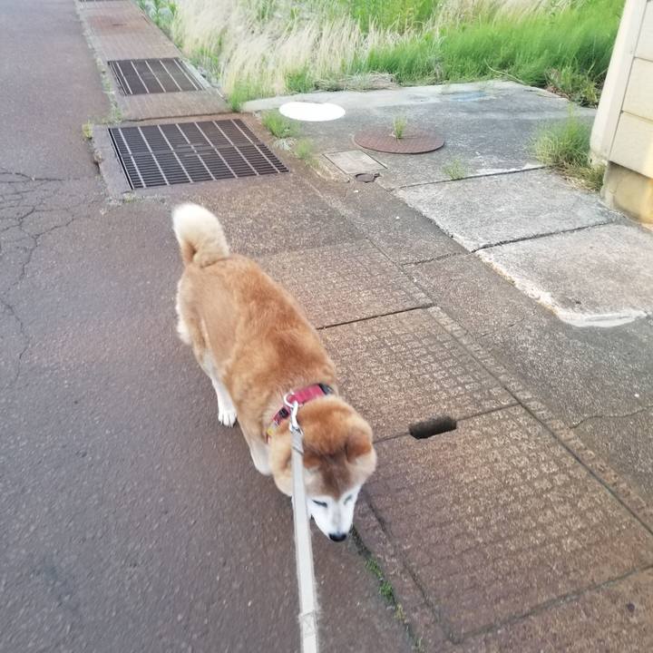 Ad8fddc1 b513 40f5 8eca aa0bed22cbe5 1751275337916