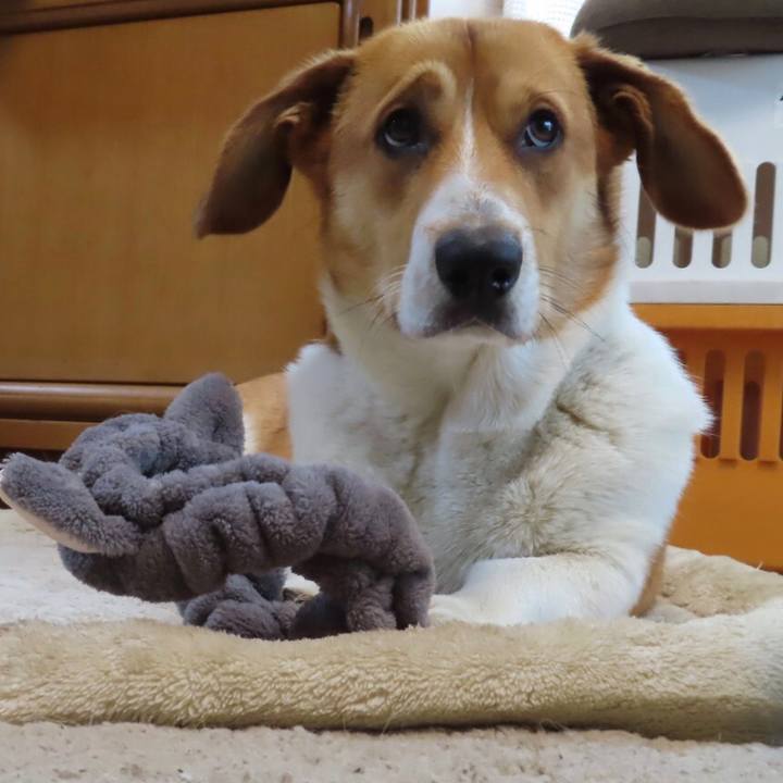 Ad900e61 20c5 4b79 a80d cc38f990b884 1619747809799