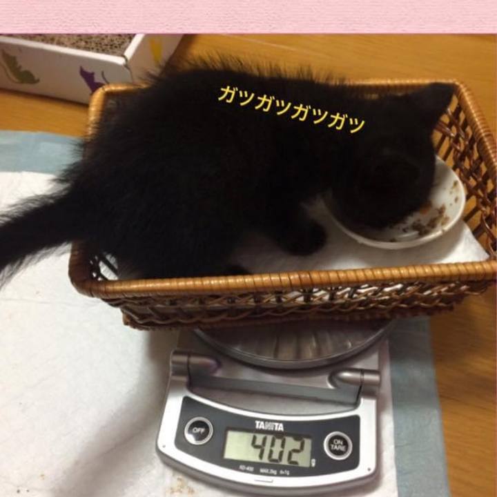 Ad903240 422e 4488 95cd 3336692101e1 1601443775172