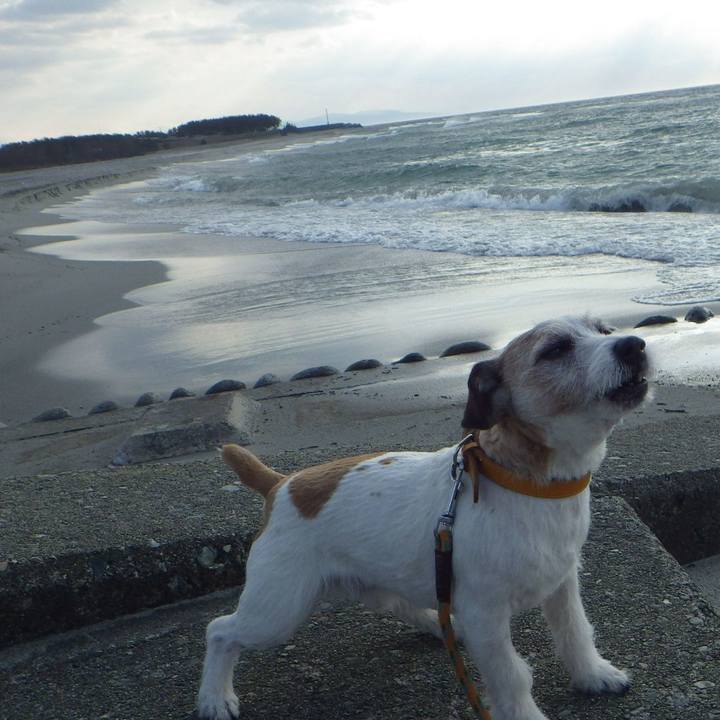 Ad903ab6 6327 49cf b822 91d393cf7cc8 1553256527922