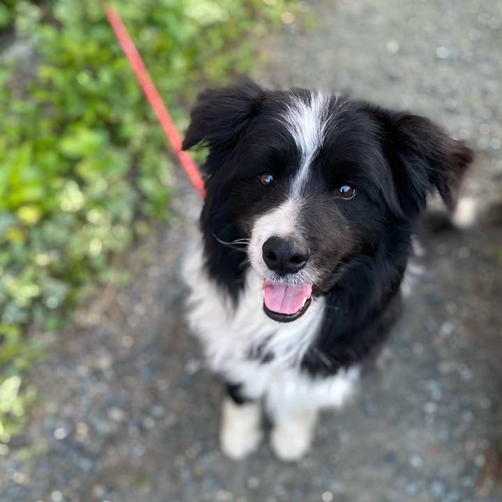 Ad90753c ca2f 4665 b4ba 6db68d816cb8 1684644820764