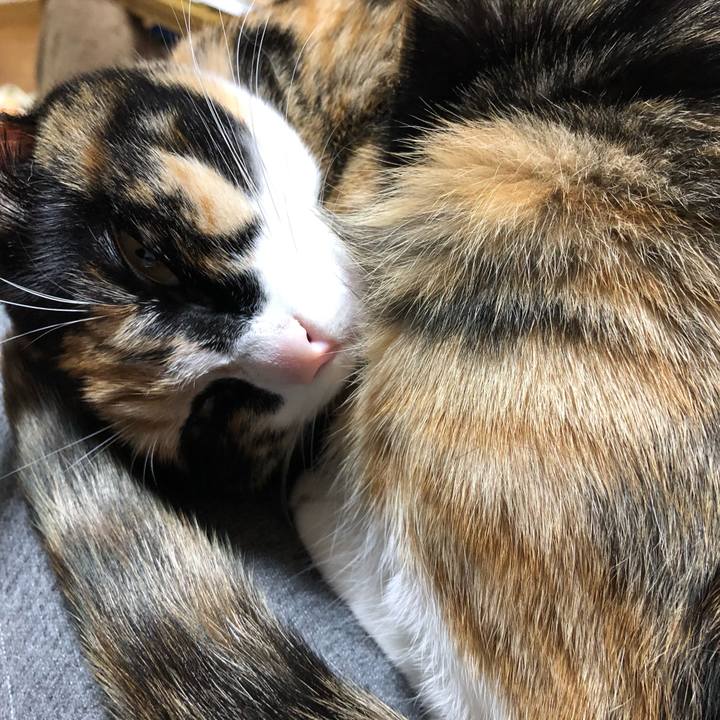 Ad907757 94fc 4eef 9e8f c134f25040dd 1588078176612