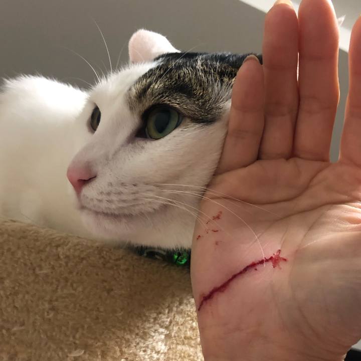 Ad909475 6290 42bb 8d2b 979b5152c7dc 1556325538339