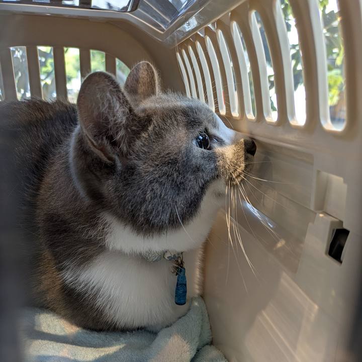 Ad90c215 7d64 4862 a64a 881551e5bddc 1757379332059