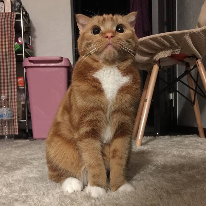 Ad90dad9 f96d 448f b887 49ac1352284d 1519220324129