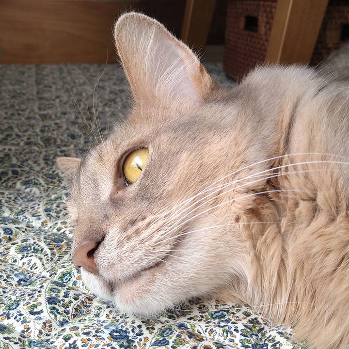 Ad90e1b7 5674 4e66 a8b1 2f79aa5bc1c8 1620215562224