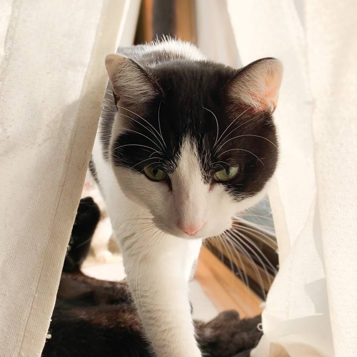 Ad90ed25 c994 436d 93e8 82f70e3b863d 1579917889152