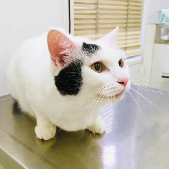 Ad911202 6b01 450d 9588 091ae1d09447 1567577339023