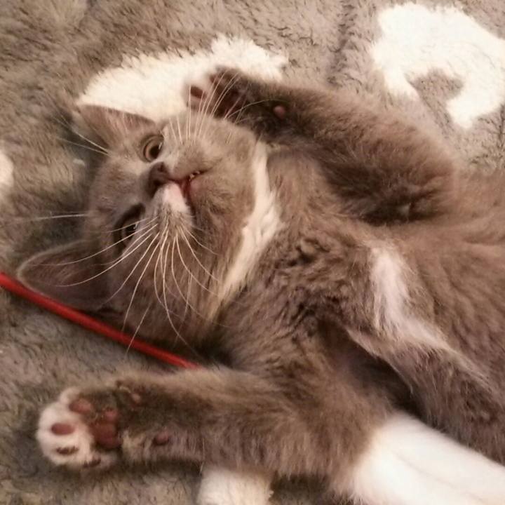 Ad9140ab 22bb 45a3 8ec8 835732e71793 1531020277074