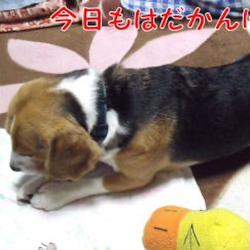 Ad9153d8 8438 447e 8cc8 900024a815f5 1713311529987