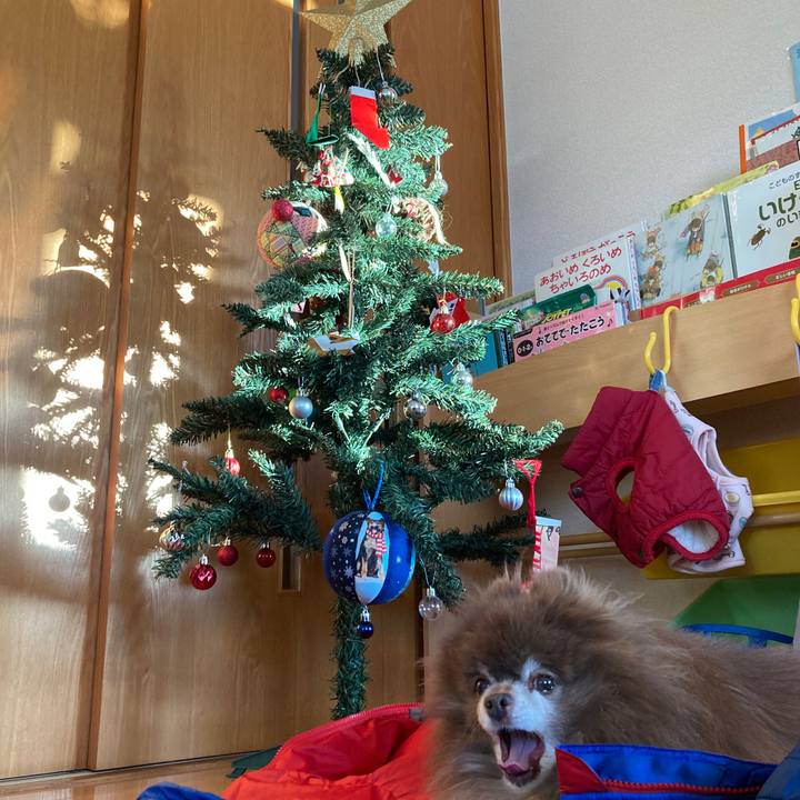 Ad915b3f d92c 4b1a 99bc e06445fee616 1733783738181