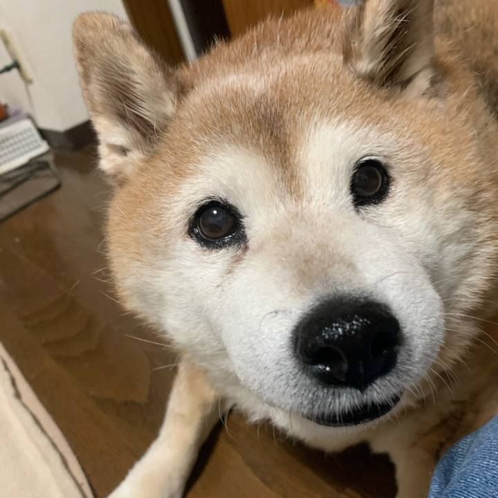 Ad9162c9 91a8 4ea9 a113 2816334bdf60 1619595898491