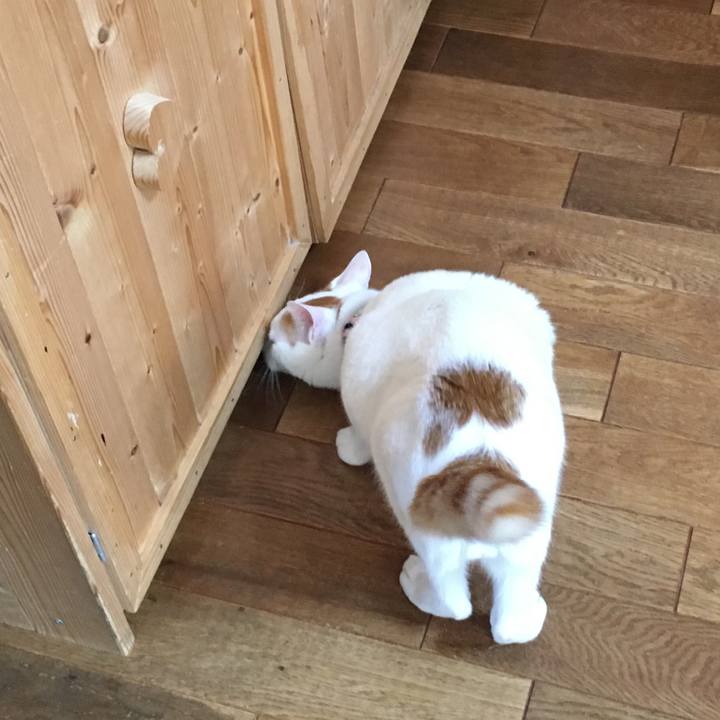 Ad916beb 50ac 490f a0fe 06f7a4527ce5 1527133542437