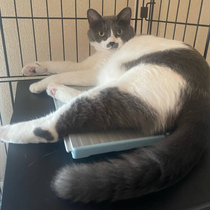 Ad917179 a6a7 4f89 8690 b678be7473bb 1690326287750