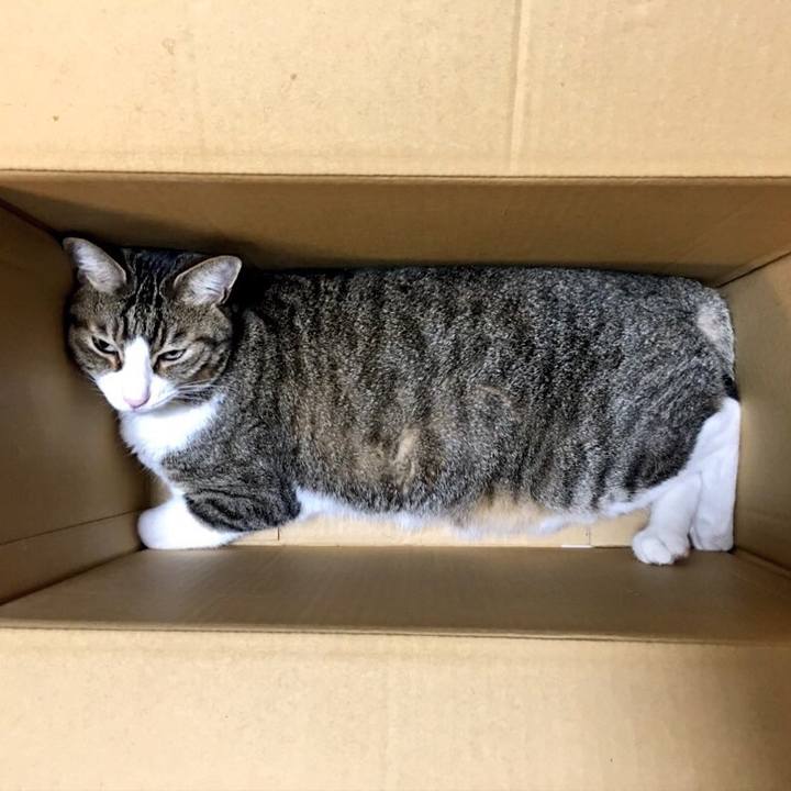 Ad91810f 09c2 4e87 93ed 1feffaa9bc5b 1533218234542