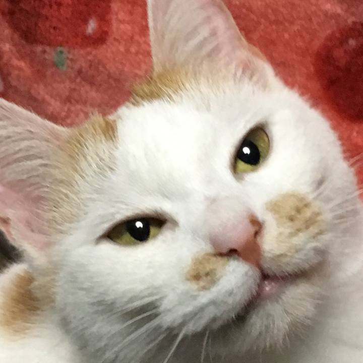 Ad919705 3532 48fc 9651 4f18400e607f 1514636086885