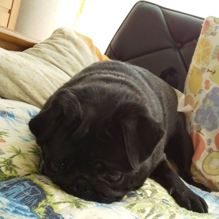 Ad91c3a7 13aa 4d23 9c9f 16193d3cdb2f 1563971465960