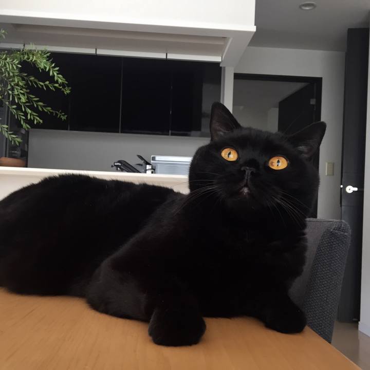 Ad91e7f0 08e7 4503 94ae 54ae1b5d27eb 1567300280960