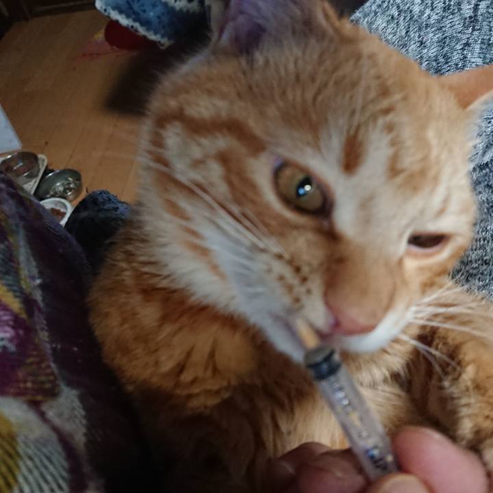 Ad91eedc 91c0 4be1 9721 f78cb70b144a 1645738994240