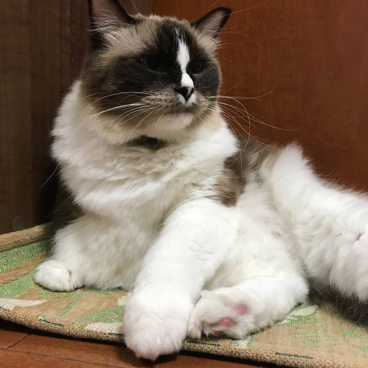 Ad924651 7c3d 42fa 8b7f af84ac79dc79 1510578823782