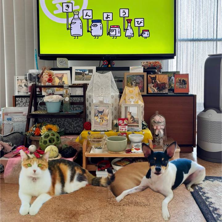 Ad92508a 2ed0 4bef 8e2c babadea628f5 1753394484381