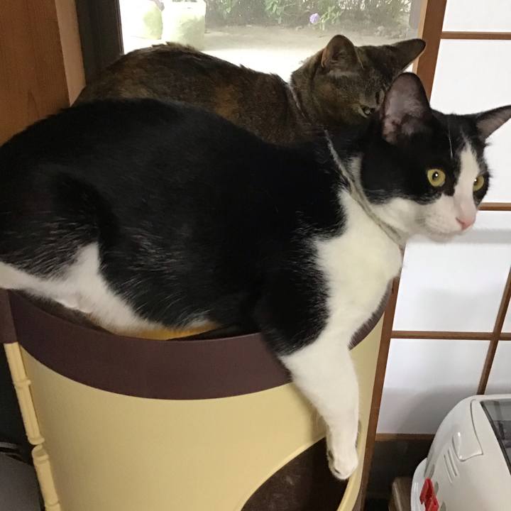 Ad925eb6 8627 4b01 b67b 7c5fc4085156 1657532611569