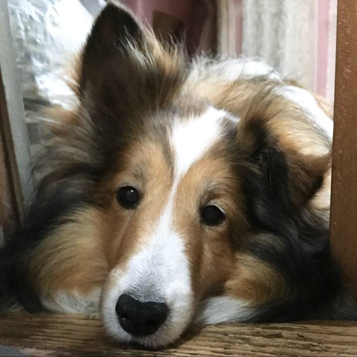 Ad928731 4f1a 47ca 809b 6875d63f4b2a 1756897006383