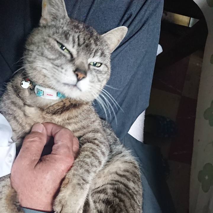 Ad928d23 5759 4b45 b616 b53418c7b3ec 1558394892959