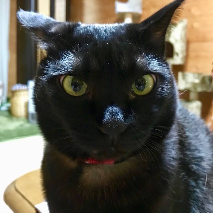 Ad9295f6 9650 4582 91b3 d43c78ba4acd 1520082629286