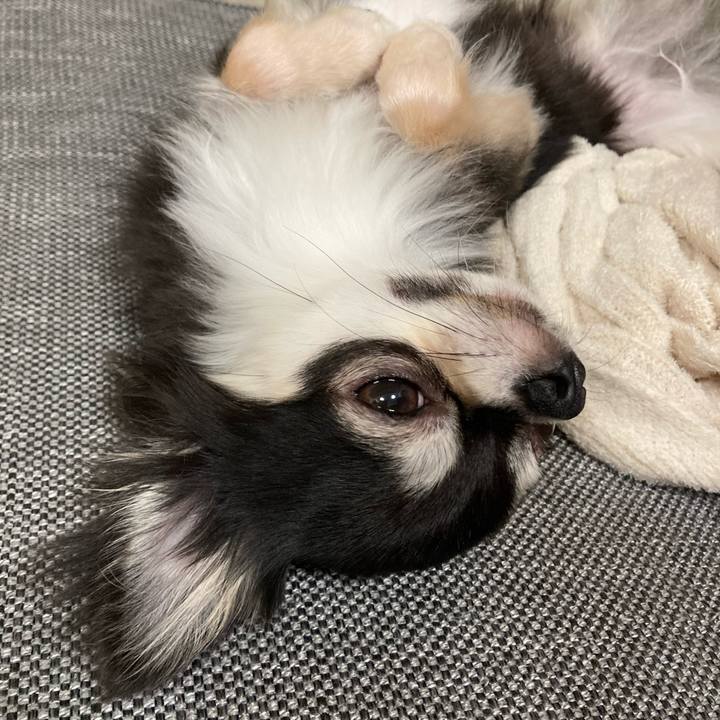 Ad92f727 3753 4839 a28f 961ebd682e71 1633265506643