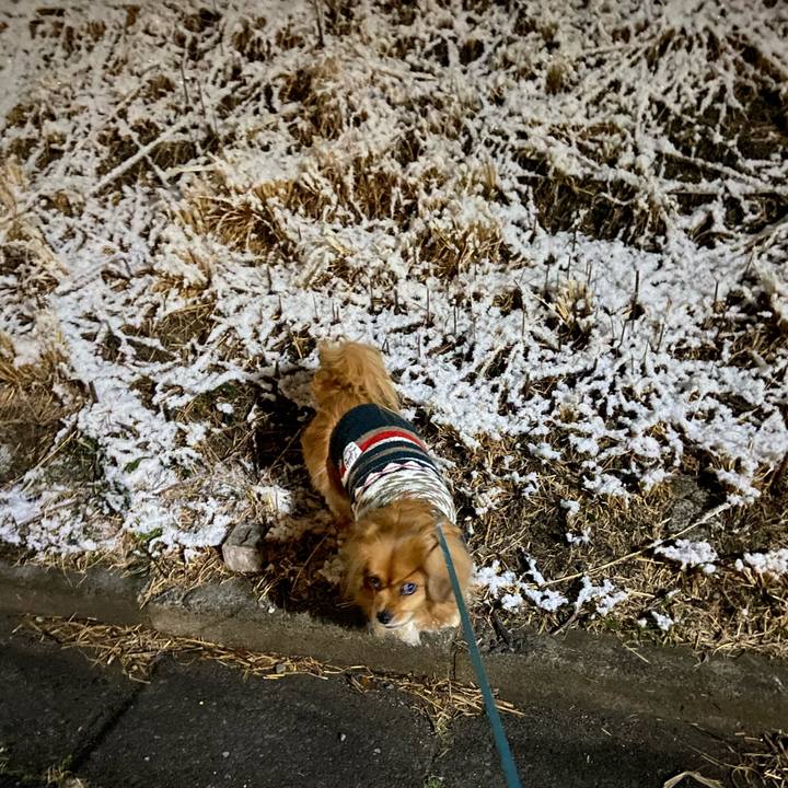 Ad92fe83 3c91 4d15 b441 ec8ee1db0a50 1611955236907