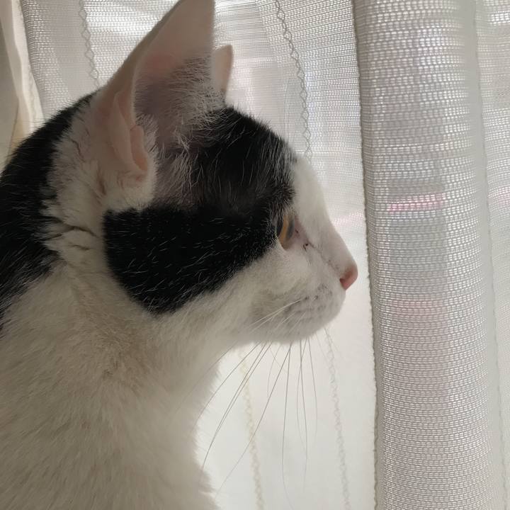 Ad9310b8 ad9c 4cce 8259 e89dfd07b928 1517527793746