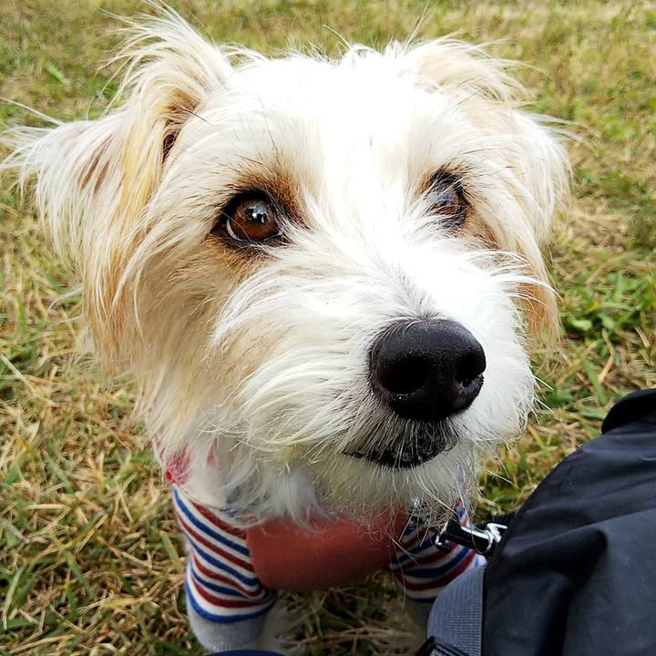 Ad9337d4 36b6 43fd 9369 96c21873859b 1631138174067