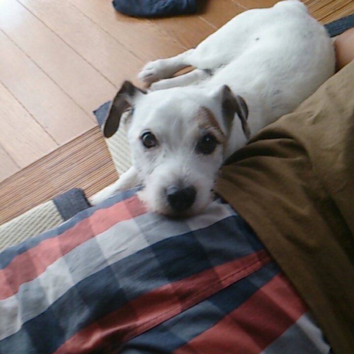 Ad935082 f4cf 46a3 9cd4 c82dc8b3ada2 1530055600557