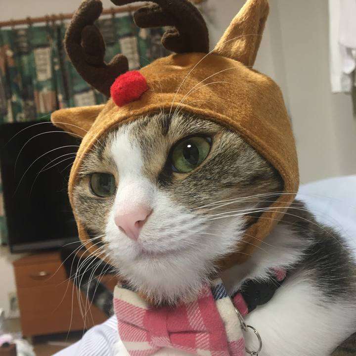 Ad937481 9a96 408e 8db7 506d6a18cca5 1703046295069