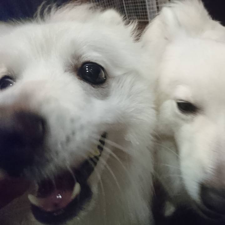 Ad939bc8 1819 4c50 94a0 11649a661f38 1591530836220