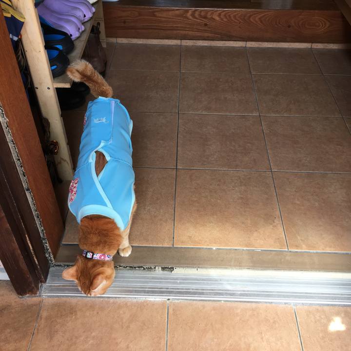 Ad93dee0 8b7d 4420 ae0f dcb33d4ca128 1520743577441