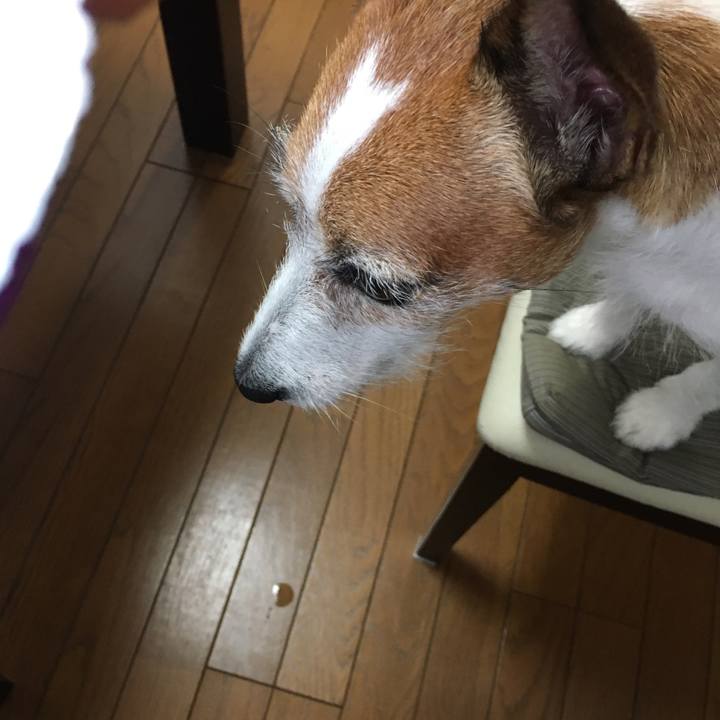 Ad9432f3 0b60 4a80 aea5 6d3475f54cbe 1592265274755