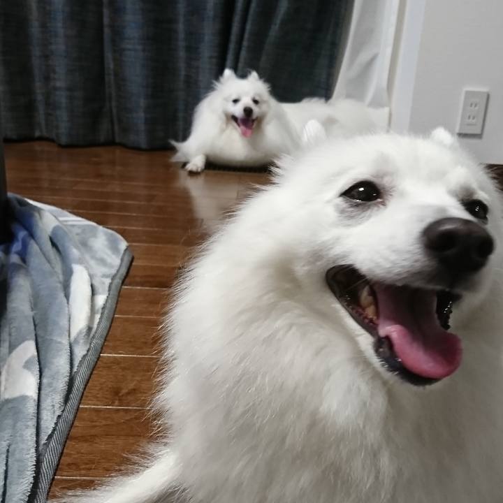 Ad945f79 f039 4581 8a8e 2eff42ee5ad6 1600940258714