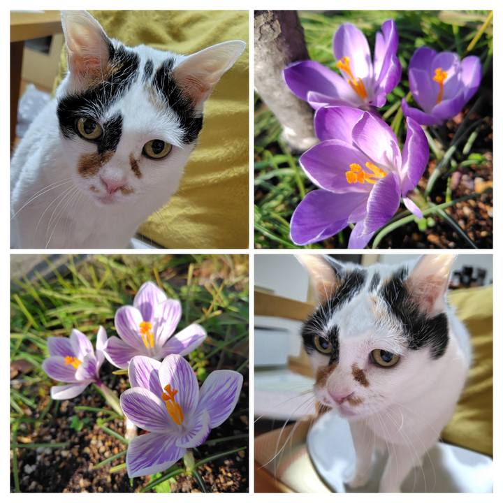 Ad9474dd b982 452b aba1 6711c7b18907 1774698671616