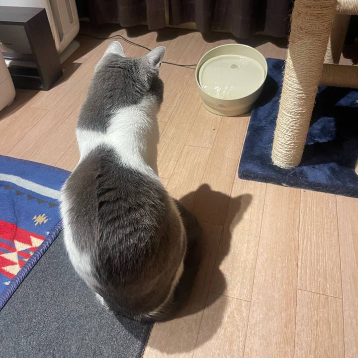 Ad949c49 066b 4727 8141 cef750137783 1651581768675