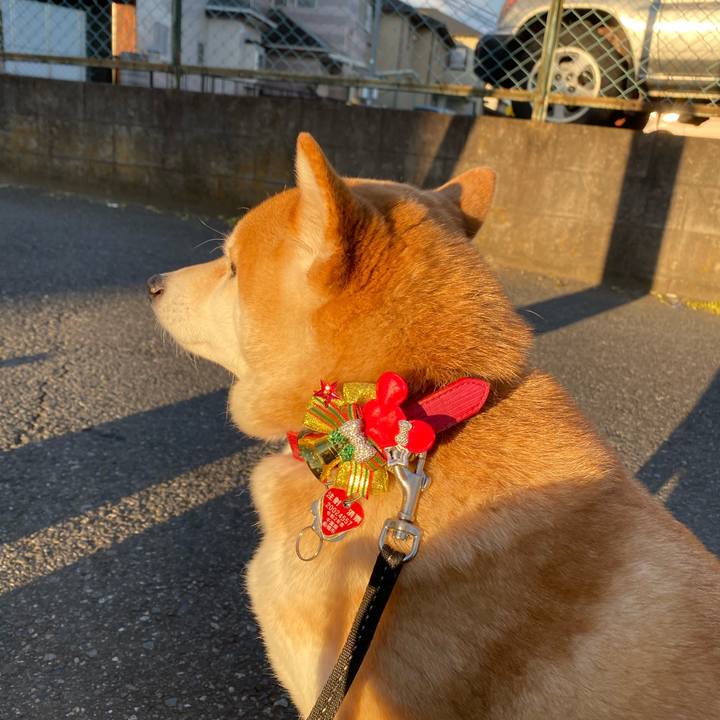 Ad949da4 88c3 47af 8e59 ab52a4170353 1608654594684