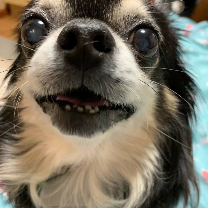 Ad94aaf1 cee5 4d20 b2d8 fb560a01c770 1560551918238