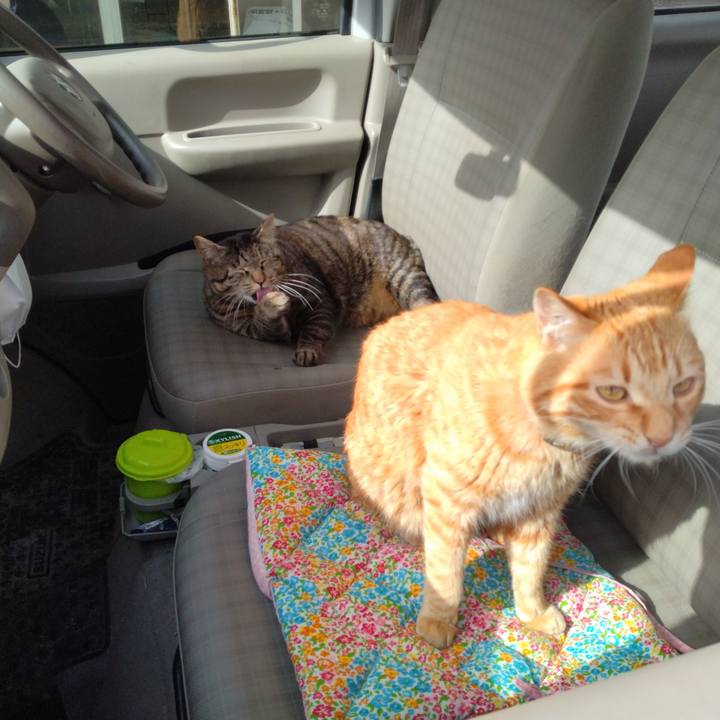 Ad94d62f 739b 432b 952b 91e42fa5faec 1681453711786